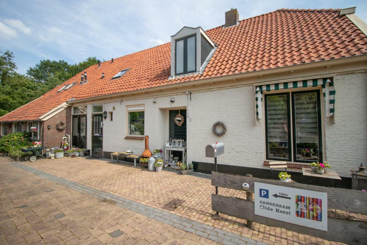 B&B Aangenaam - Olde Horst Diever Kültér fotó